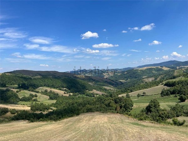 casa indipendente in vendita a Canossa