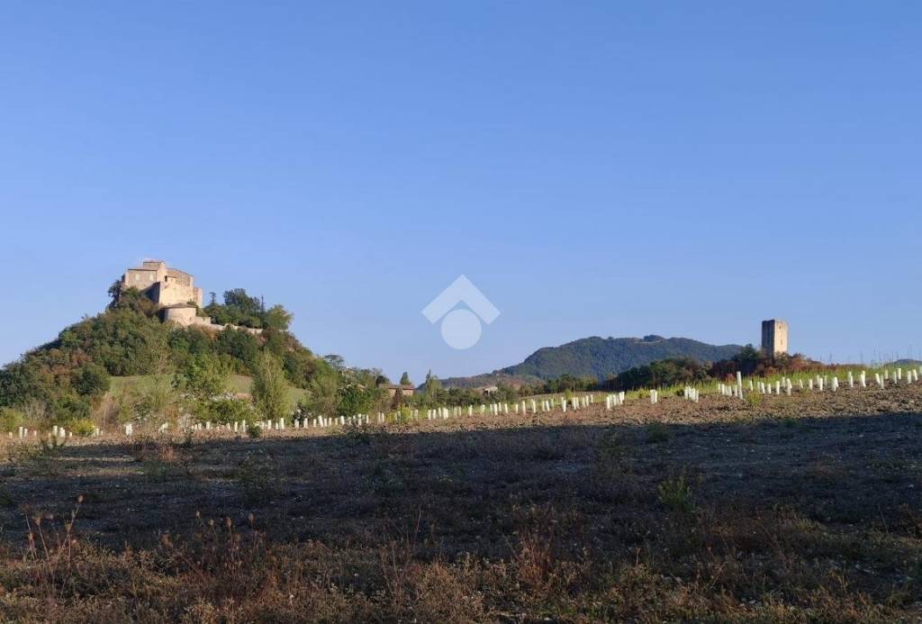 terreno industriale in vendita a Canossa