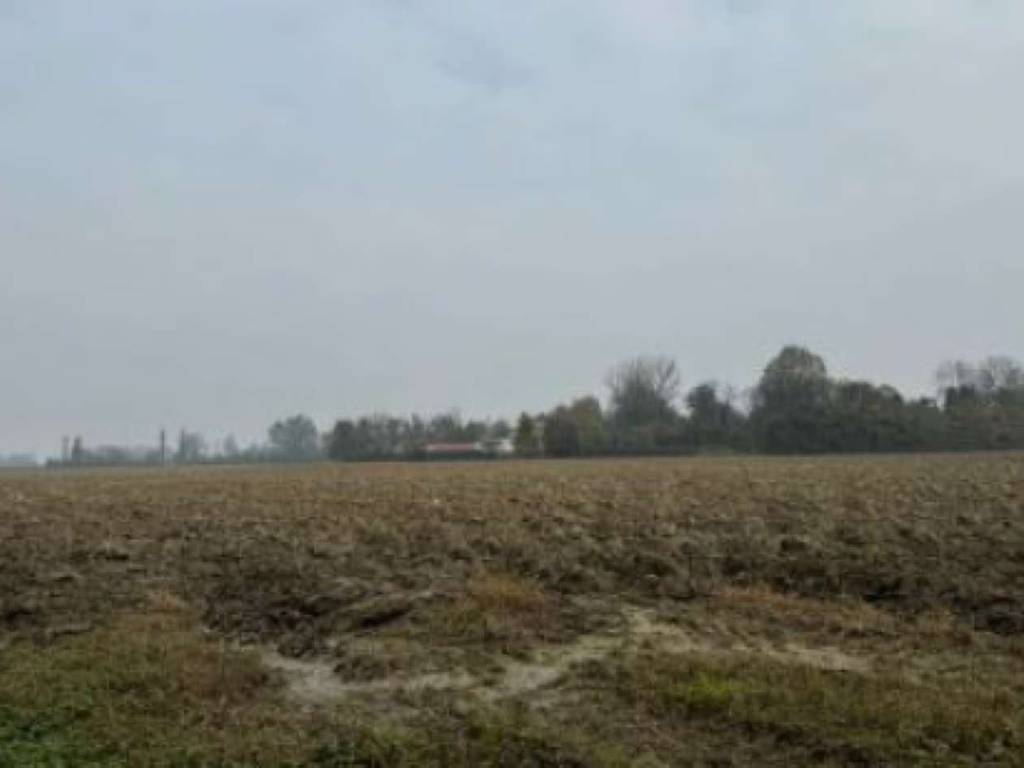 terreno agricolo in vendita a Correggio