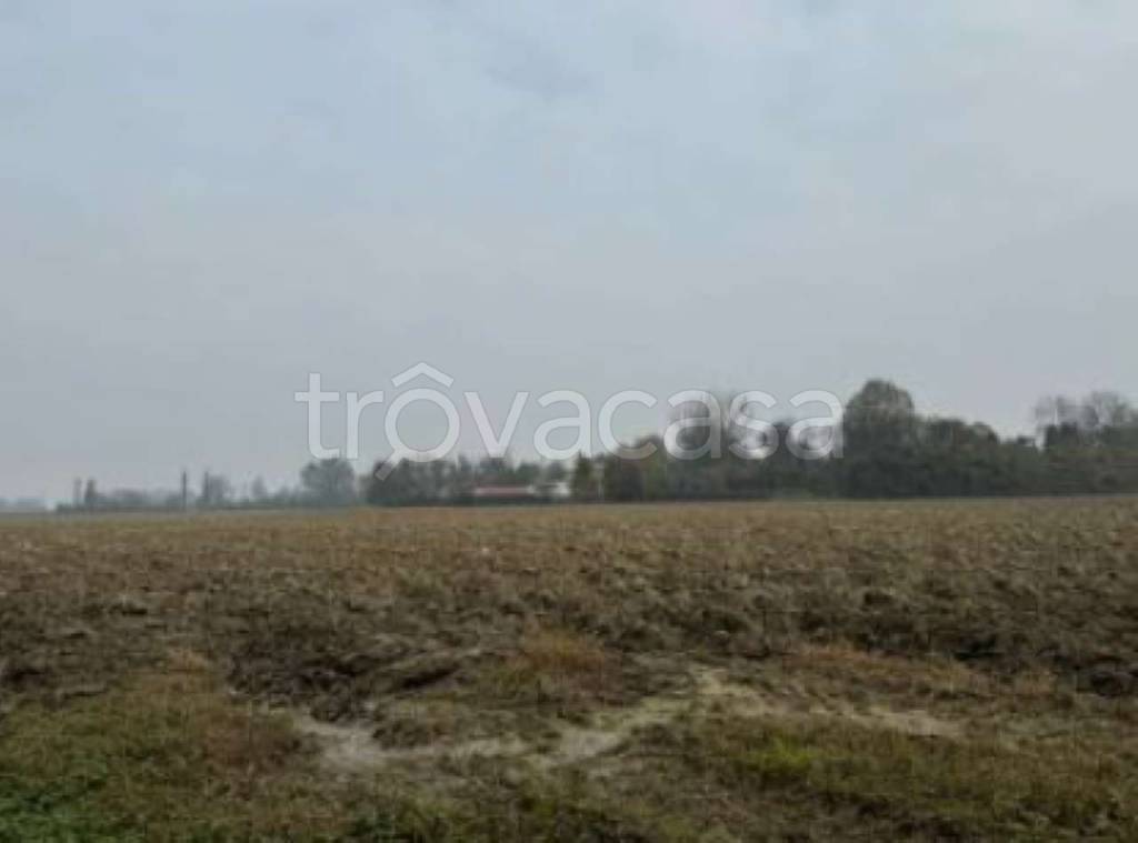 terreno agricolo in vendita a Correggio