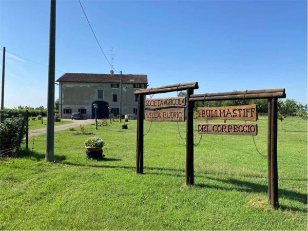 negozio in vendita a Correggio