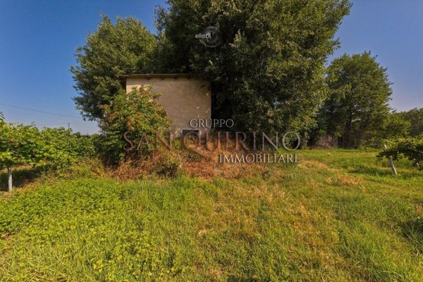 esavano in vendita a Correggio