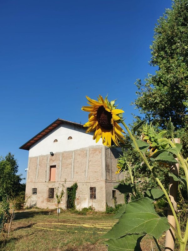 casa indipendente in vendita a Correggio