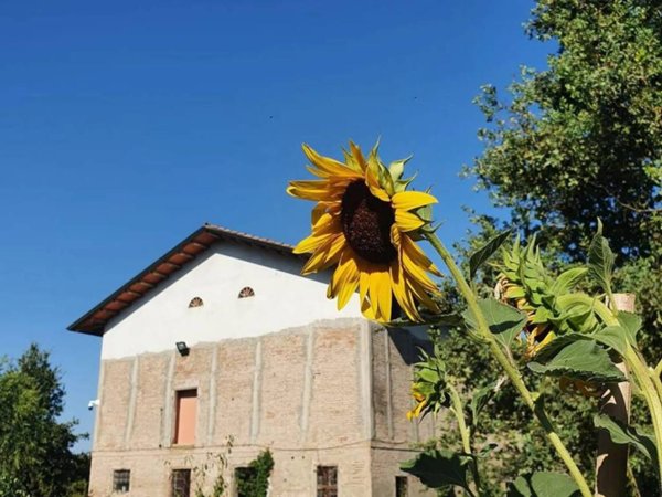 casa indipendente in vendita a Correggio in zona Villaggio Industriale