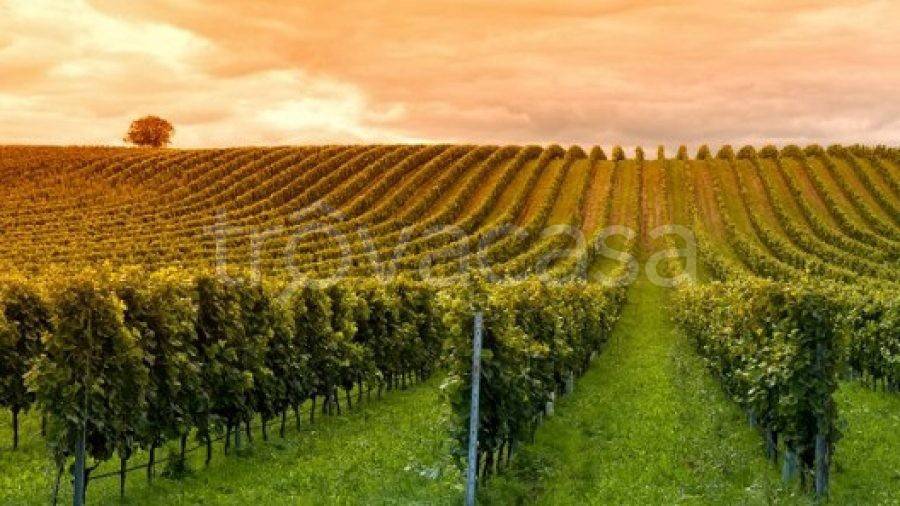 terreno agricolo in vendita a Correggio in zona Fosdondo