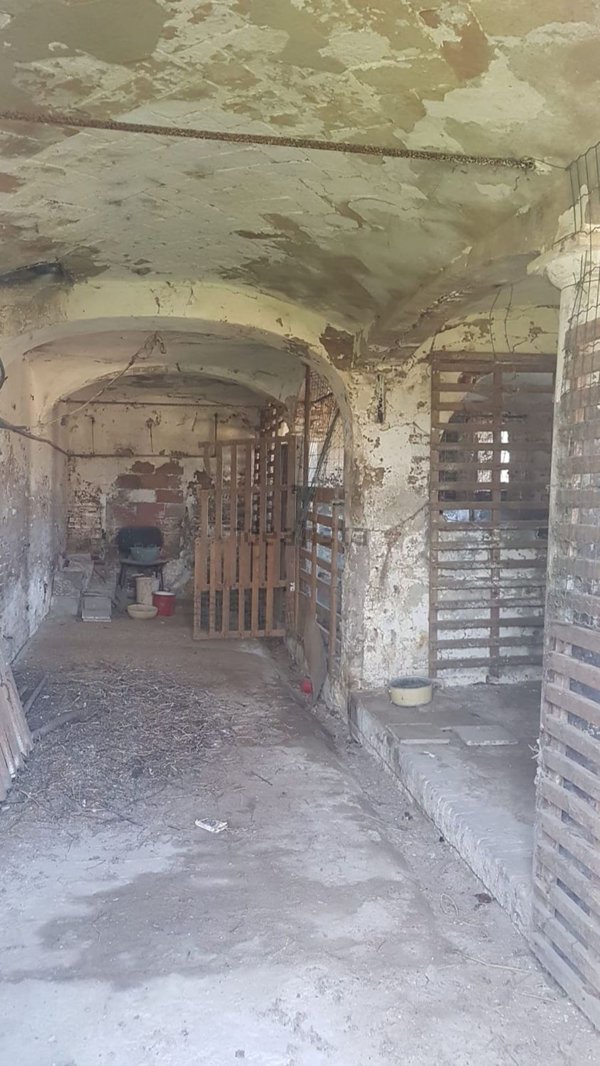 esavano in vendita a Correggio