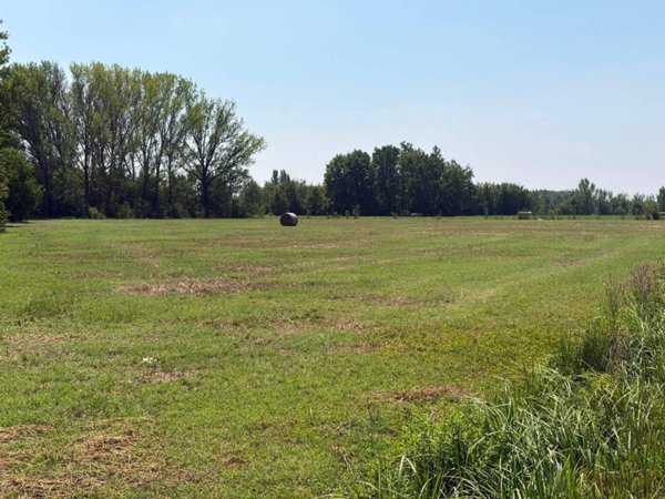 terreno agricolo in vendita a Correggio