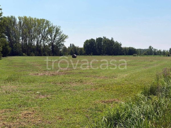 terreno agricolo in vendita a Correggio