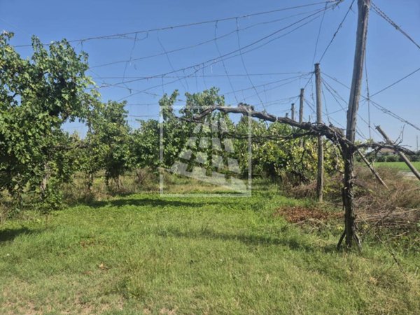 terreno agricolo in vendita a Correggio