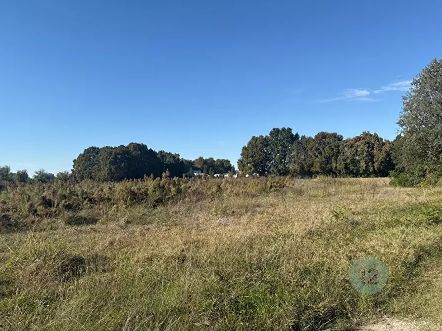 casa indipendente in vendita a Correggio