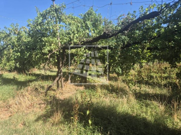 terreno agricolo in vendita a Correggio
