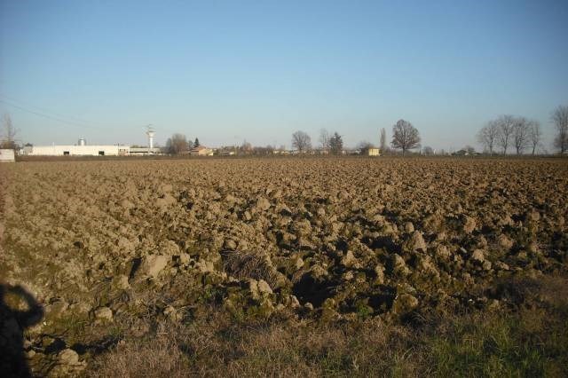 terreno agricolo in vendita a Fabbrico