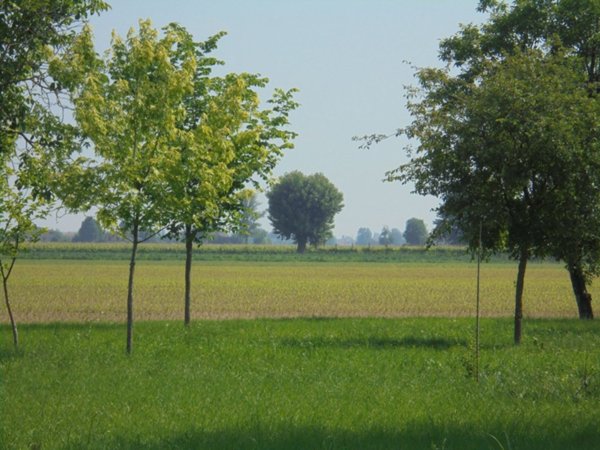 terreno agricolo in vendita a Fabbrico