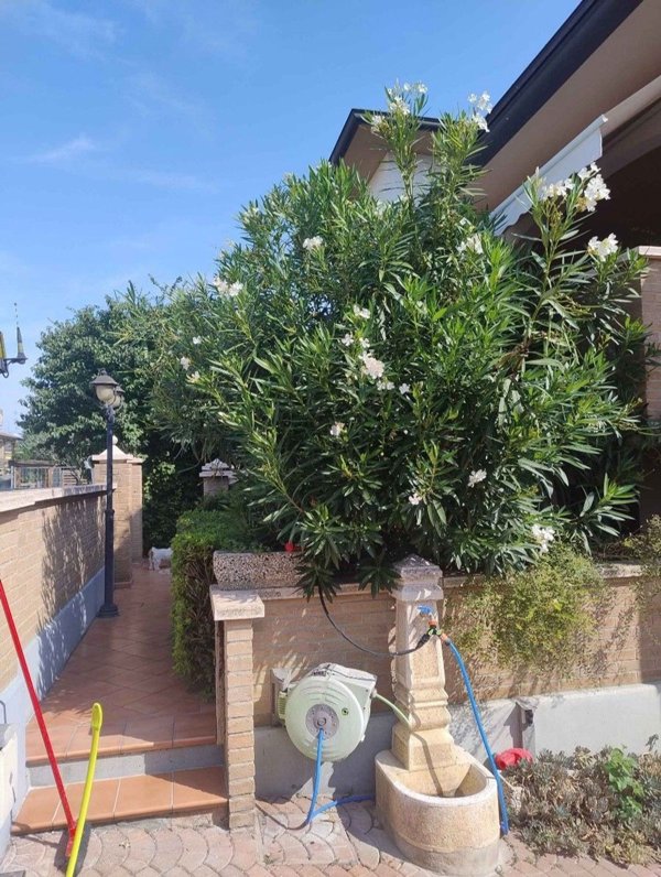 casa indipendente in vendita a Gattatico in zona Praticello