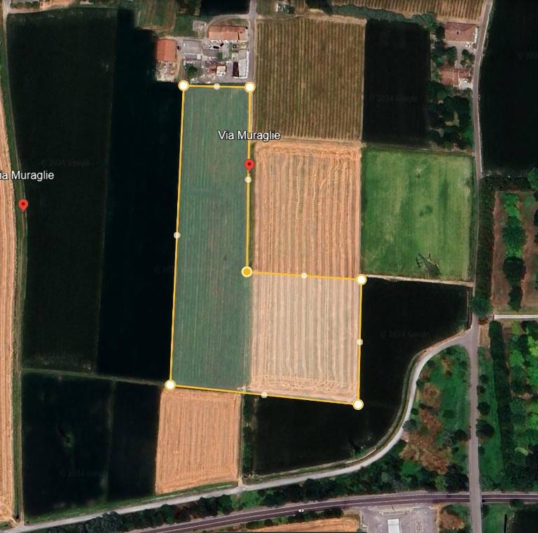 terreno agricolo in vendita a Gualtieri in zona Pieve Saliceto