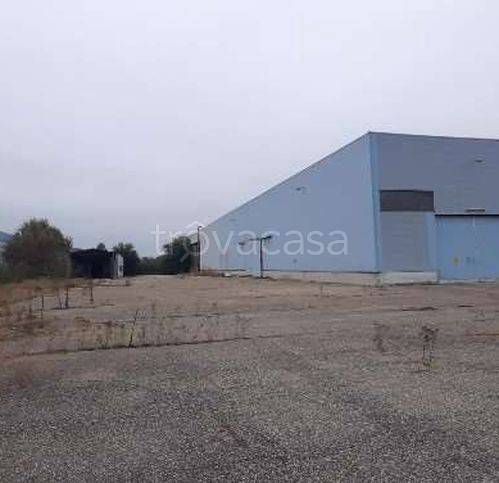 negozio in vendita a Gualtieri