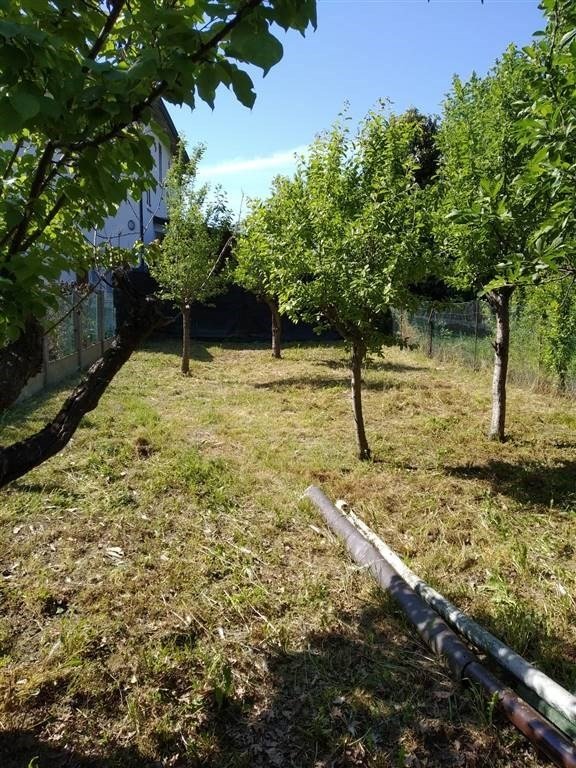 casa indipendente in vendita a Gualtieri