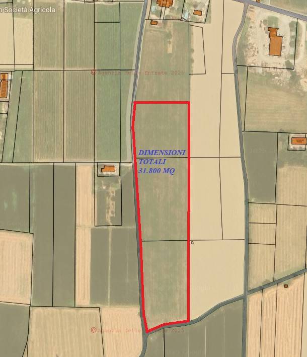terreno agricolo in vendita a Gualtieri