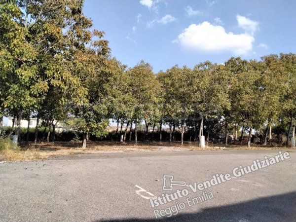 terreno agricolo in vendita a Gualtieri in zona Pieve Saliceto