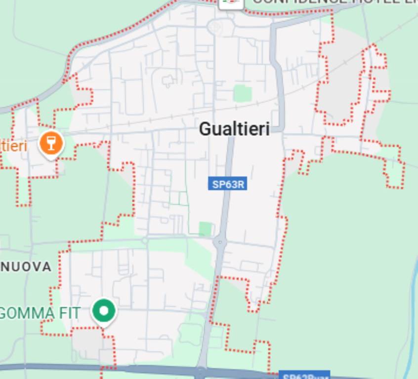 negozio in vendita a Gualtieri
