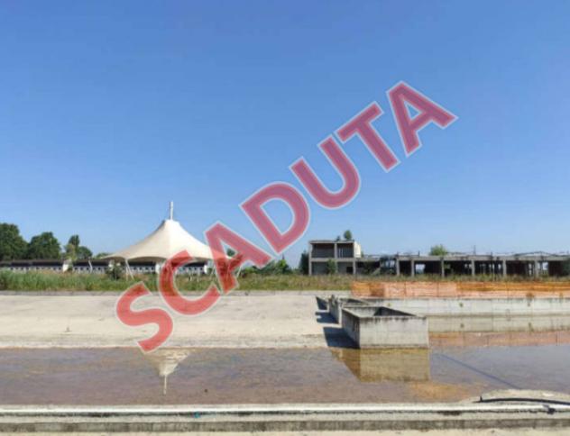 pentavano in vendita a Gualtieri