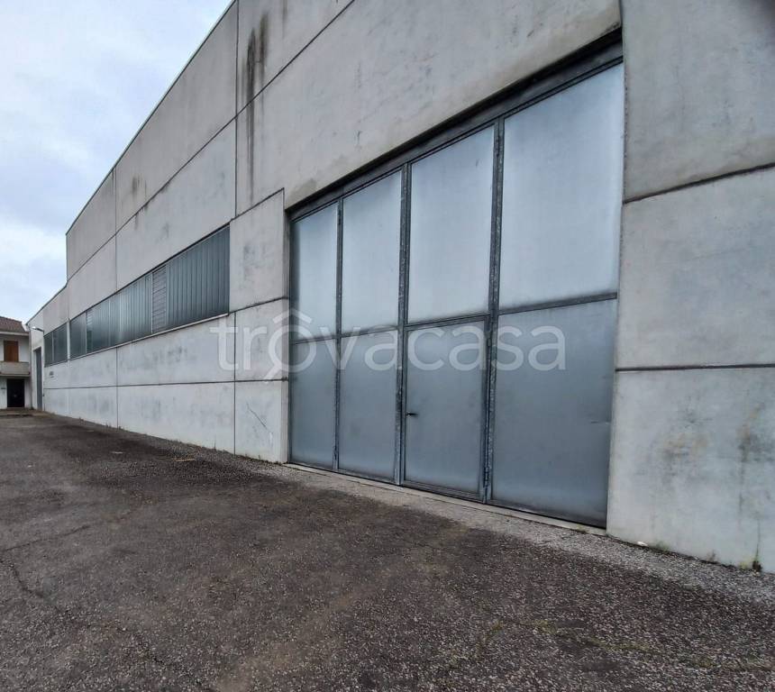 terreno edificabile in vendita a Gualtieri