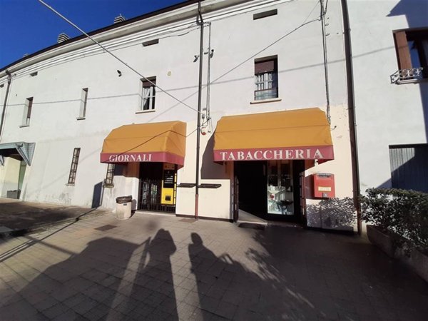 trivano in vendita a Guastalla