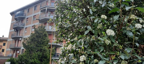 appartamento in vendita a Guastalla