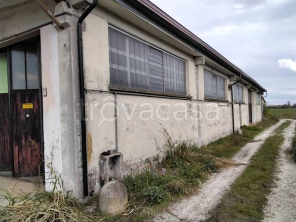 casa indipendente in vendita a Guastalla in zona San Girolamo