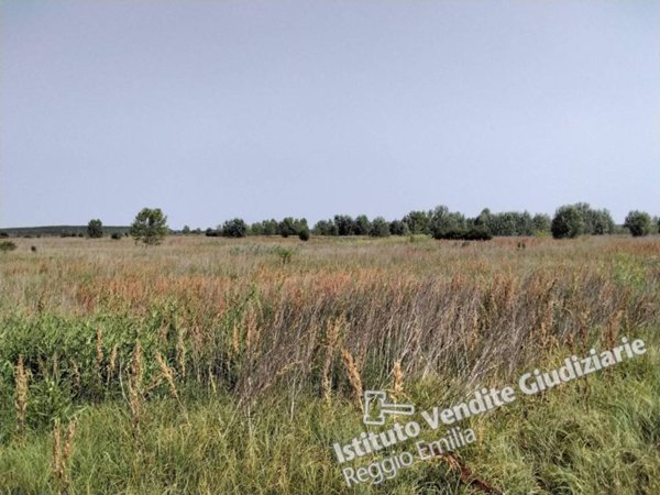 terreno agricolo in vendita a Guastalla