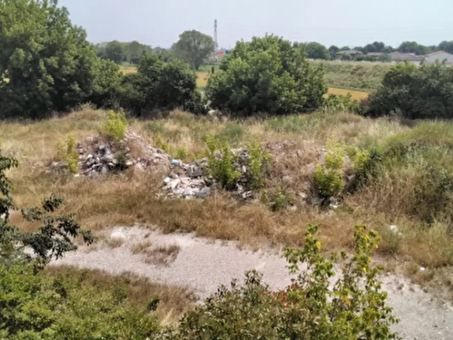 terreno agricolo in vendita a Guastalla
