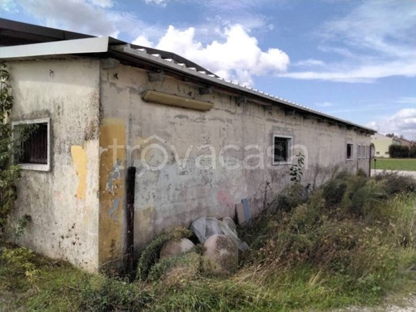 casa indipendente in vendita a Guastalla in zona San Girolamo