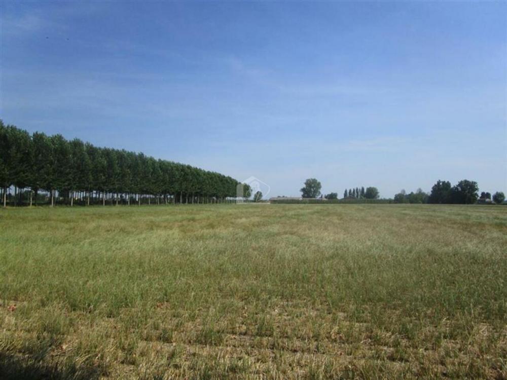 terreno agricolo in vendita a Luzzara in zona Codisotto
