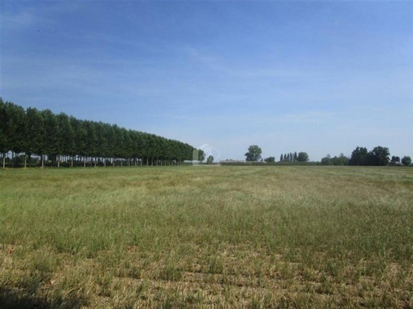 terreno agricolo in vendita a Luzzara