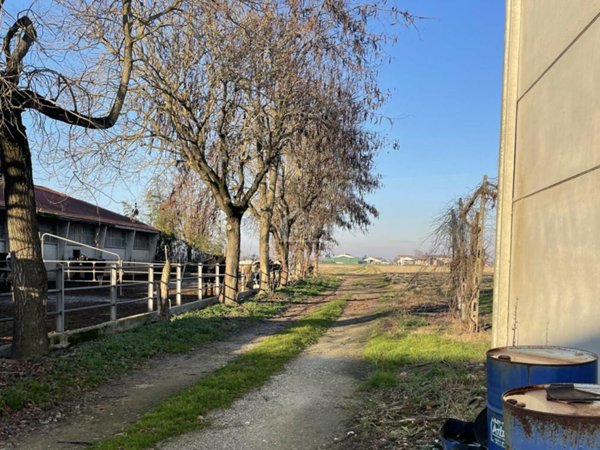 azienda agricola in vendita a Luzzara
