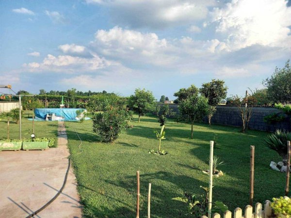 casa indipendente in vendita a Luzzara in zona Codisotto