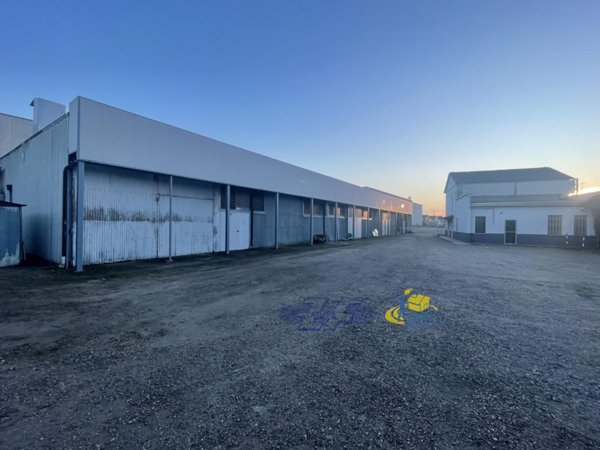 negozio in vendita a Luzzara