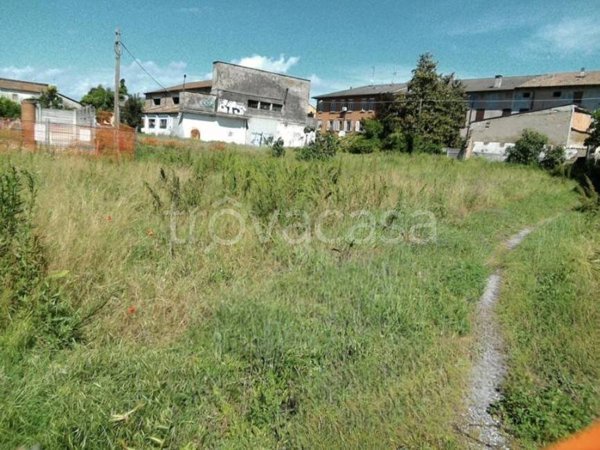 terreno agricolo in vendita a Luzzara in zona Villarotta