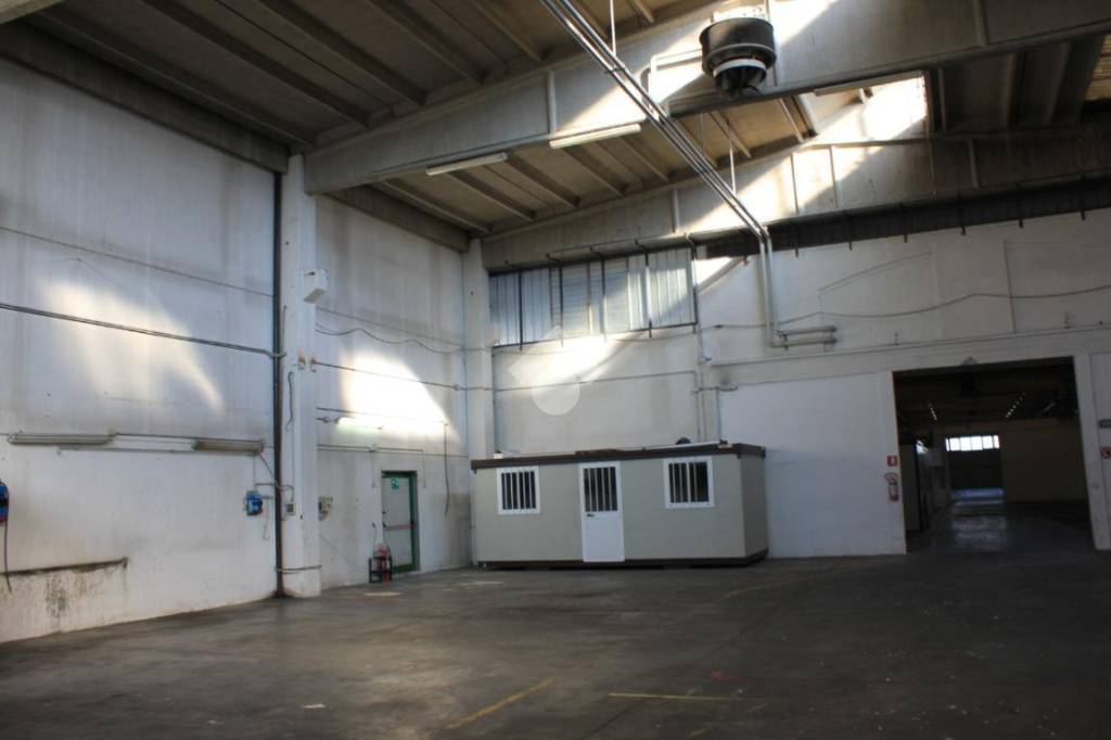 capannone in vendita a Luzzara