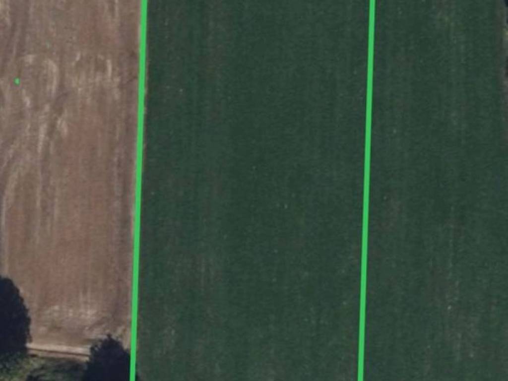 terreno agricolo in vendita a Luzzara