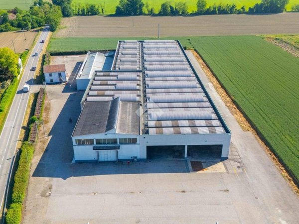 locale commerciale in vendita a Luzzara