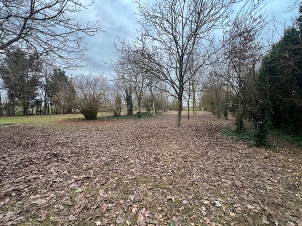 casa indipendente in vendita a Luzzara in zona Casoni