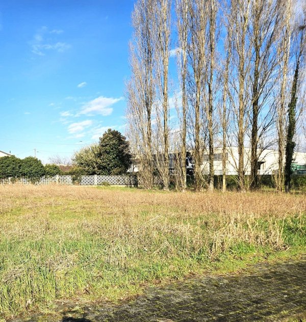 ufficio in vendita a Luzzara in zona Villarotta