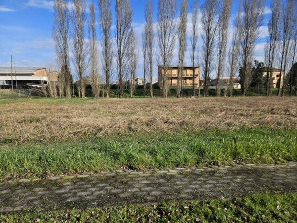 terreno agricolo in vendita a Luzzara in zona Villarotta