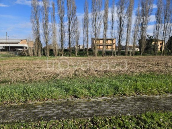 terreno agricolo in vendita a Luzzara in zona Villarotta