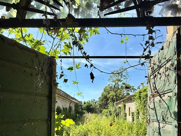 casa indipendente in vendita a Luzzara