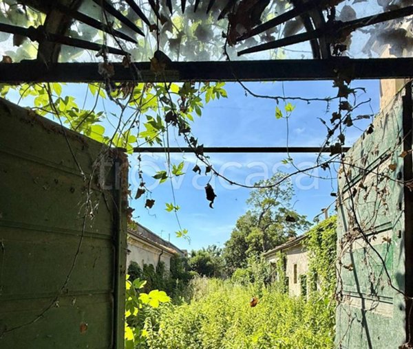 casa indipendente in vendita a Luzzara