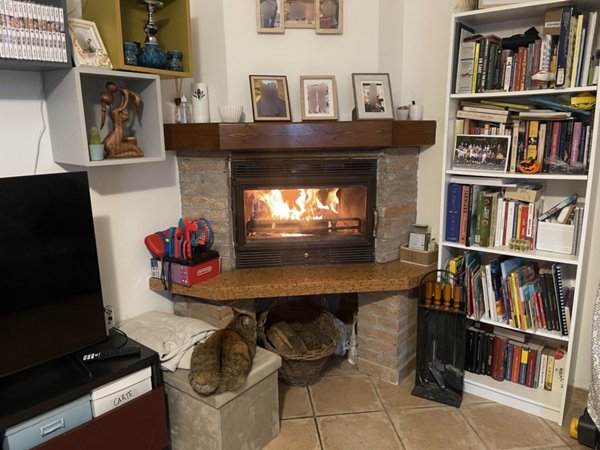 casa indipendente in vendita a Luzzara