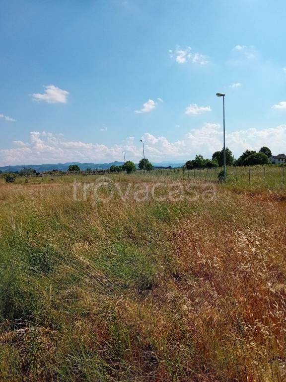 terreno agricolo in vendita a Montecchio Emilia