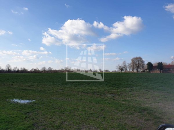 terreno agricolo in vendita a Montecchio Emilia